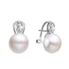 PENDIENTES PLATA
