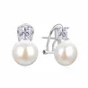 Pendientes Di plata 2025069