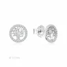 Pendientes Di plata microengaste 2025395
