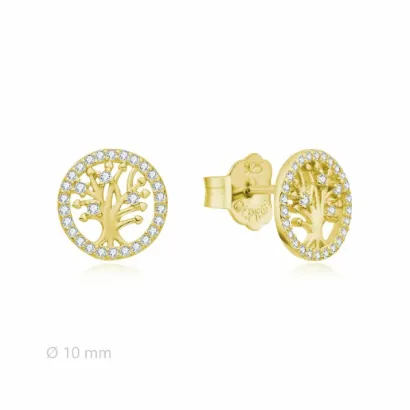 Pendientes Di plata 2025395 Y
