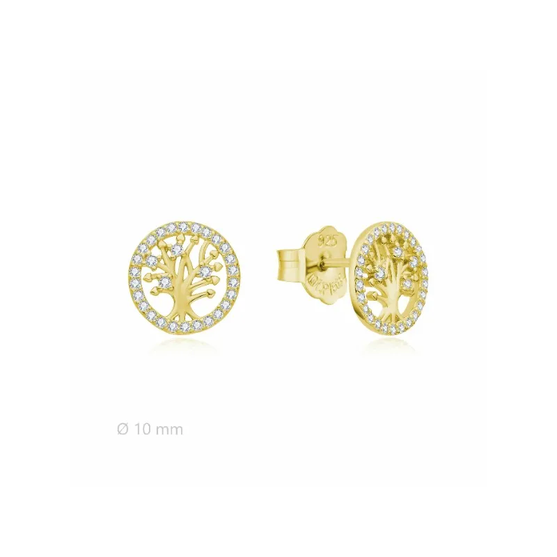 Pendientes Di plata 2025395 Y