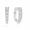 Aros Di plata microengaste 2140901