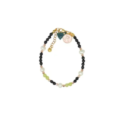 Pulsera de acero y piedras Z2016900 F
