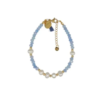 Pulsera de acero y piedras Z2016900 V