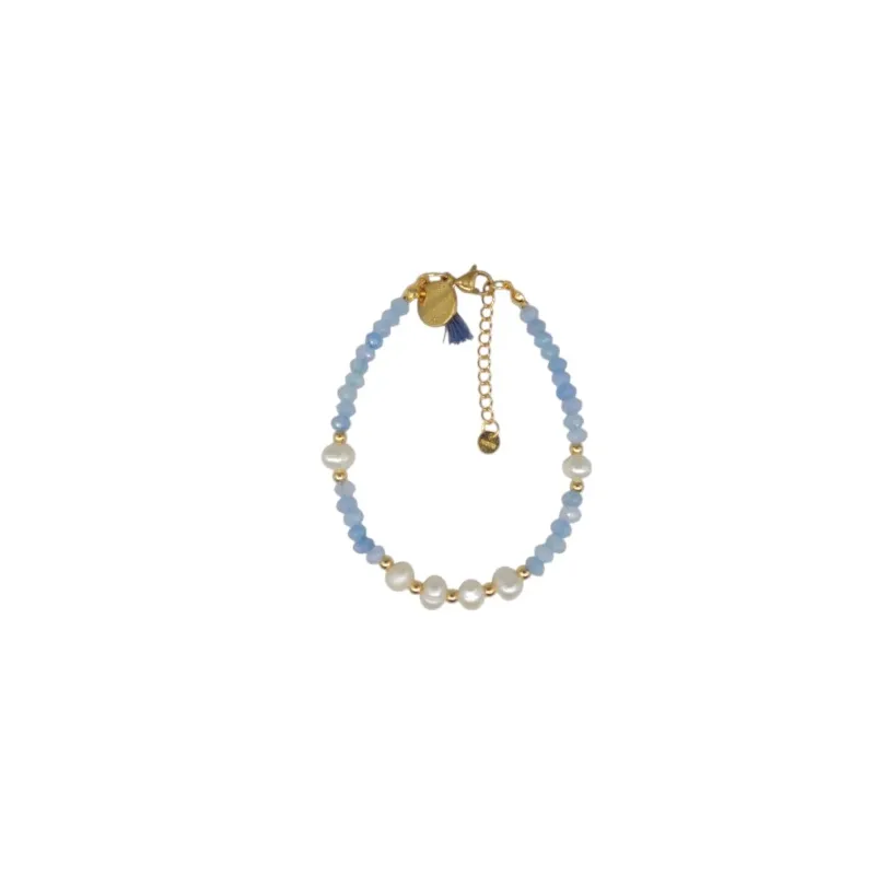 Pulsera de acero y piedras Z2016900 V