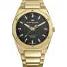 Reloj acero ip dorado brazalete sr HM103