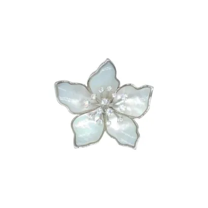 Broches Ivoire acero Z2017038 B