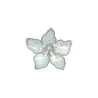 Broches Ivoire acero Z2017038 B